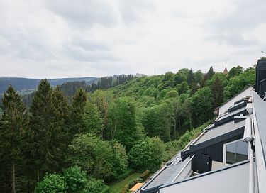 Appartement met balkon in Winterberg