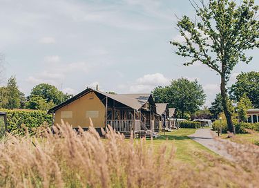 Glampingtelt til 8 personer med sovehytte - 15