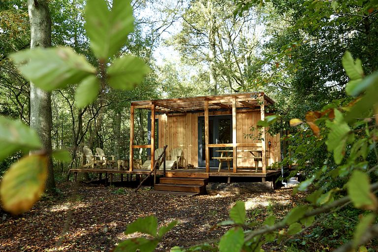 Spend the night in a tucked-away forest cabin - 1