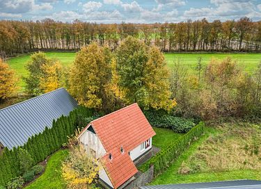 Hondvriendelijke boshuisje in Drenthe - 41