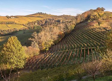 ferienwohnungen mit blick auf die weinberge - 39