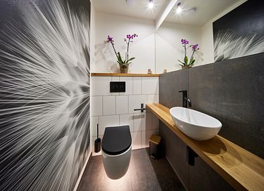 Luxury vacation home in Radvanice - 14