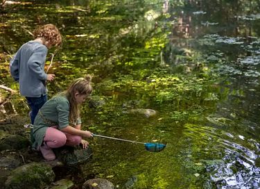 Uniek vakantiehuisje (2p) midden in het bos - 11