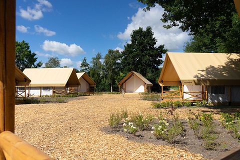 Ruime glampingtent in België voor 4 personen - 3