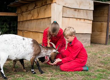 Glamping auf der Dairy & Calf Farm - 8