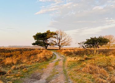 Overnachten in de Drentse natuur - 15