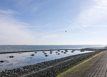 Dog-friendly stay at the Oosterschelde - 12