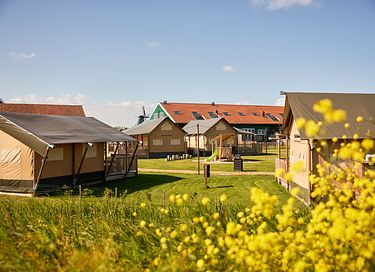 Luxuriöses Glamping-Zelt am Wasser - 15