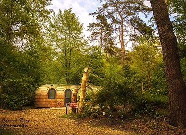 Uniek vakantiehuisje (2p) midden in het bos - 15