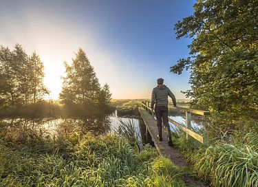 Glampingzelt für 8 Personen in den Kempen - 23