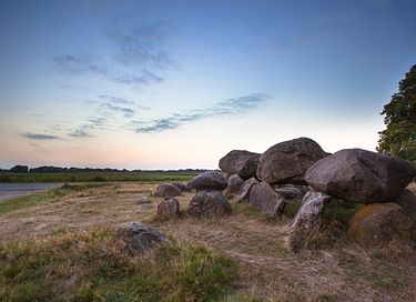 Hondvriendelijke boshuisje in Drenthe - 62