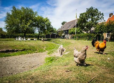 Landelijk vakantiehuis bij zee en natuur - 36