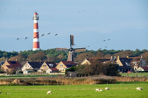Villa pour 8 personnes près de la mer à Ameland - 3