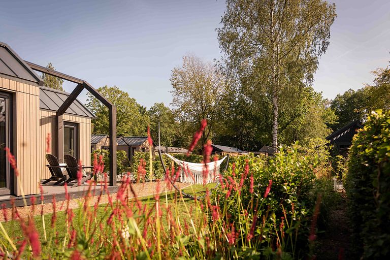 Design cabin (5p) op de Veluwe - 1