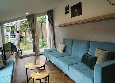 Modern holiday home in a wooded area - 4