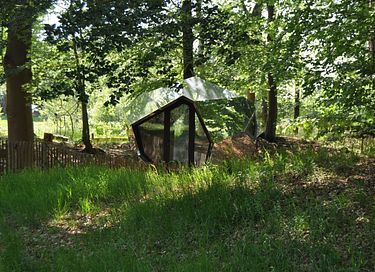 Mirror House with a Sauna in the Woods - 13