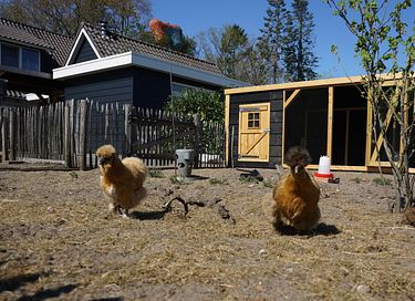 Wunderschön gelegenes Ferienhaus in Haaksbergen - 29