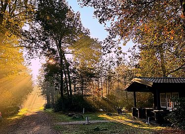 Pavillon indépendant dans les bois (5p) - 14