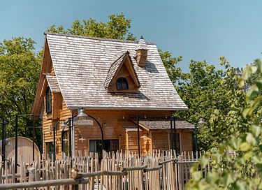 Luxury tree lodge with sauna - 3