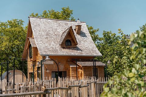 Luxury tree lodge with sauna - 3
