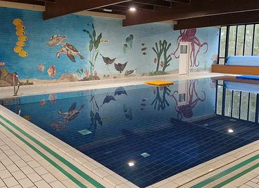 Wellness-Ferienhaus mit Whirlpool in Gelderland - 49