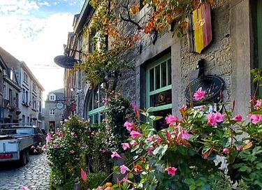 Lodge avec vue imprenable dans les Ardennes - 47