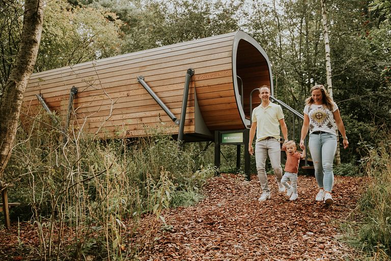 Logement original sur pilotis dans la forêt - 1