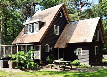Märchenhaftes Waldhäuschen in Drenthe