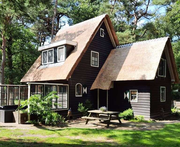 Fairytale forest cottage in Drenthe - 1