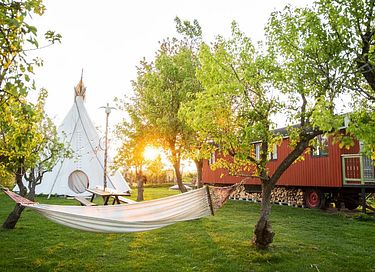 Slapen tussen de schapen in een tipi (5 pers) - 2