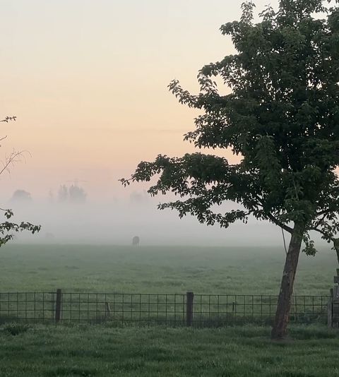 Leuke blauwe pipowagen bij natuurgebied - 4