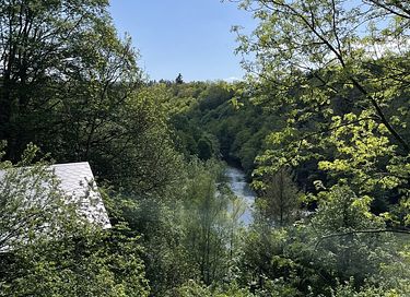 Unique cabane dans les arbes avec sauna privé dans les Ardennes - 38