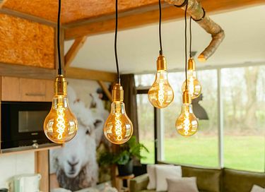 Kinderbungalow (6p) mit privatem Wellness - 6