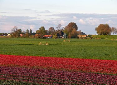 Hotelhuisje bij het Markermeer - 3