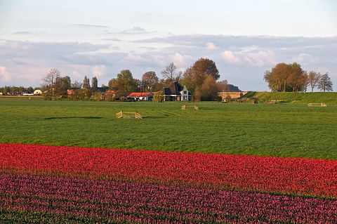 Hotelhuisje bij het Markermeer - 3