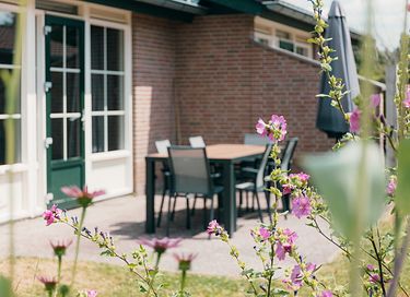 Bungalow entouré par la campagne de Veluwe (2p) - 13