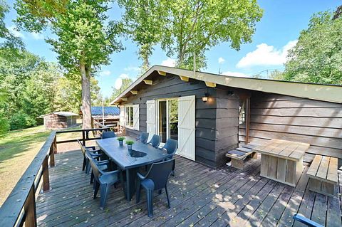Chalet en bois au milieu de la forêt - 3