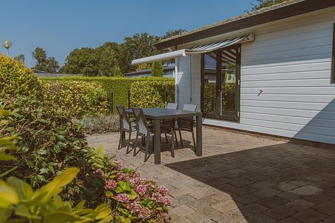Chalet de bien-être avec jacuzzi à Veluwe - 4