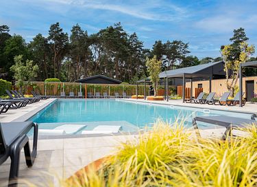Modern tiny house op leuk vakantiepark - 15