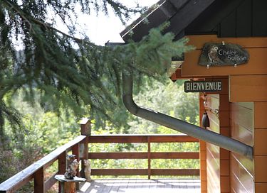Wooden holiday home (5p)in the middle of the Ardennes - 3