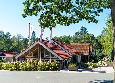 Boslodge op een vakantiepark in Gelderland - 23