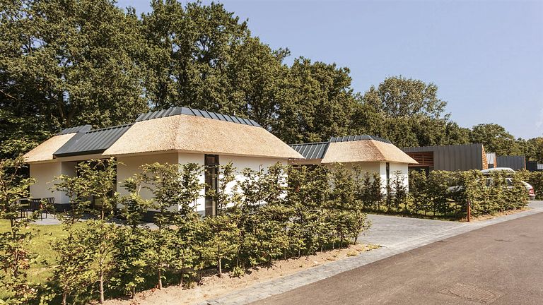 Pet-friendly lodge with sauna - 1