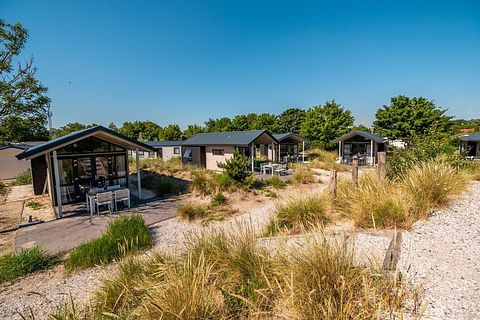 Tiny lodge vlakbij het water in Zuid-Holland - 2