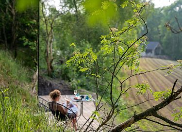 Luxuriöse Wald-Lodge  - 7