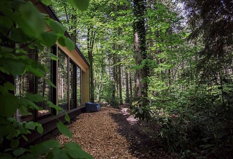 Des lodges hôteliers uniques en pleine nature - 2