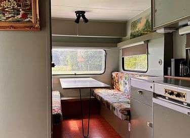 Vintage caravan midden in de Drentse natuur - 4