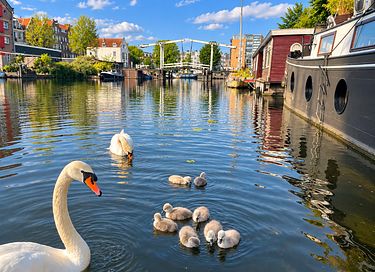 Ein verstecktes Hausboot im Herzen von Amsterdam - 18