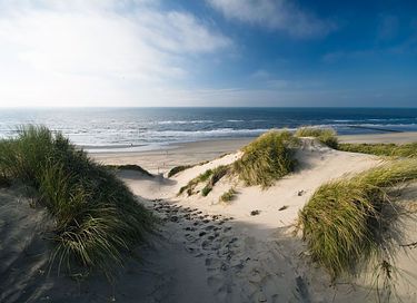Chalet de plage (5p) sur la plage de Kijkduin - 24