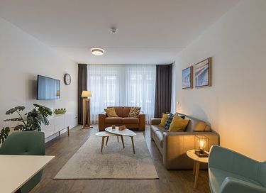 Pet-friendly accommodations in Zoutelande - 10