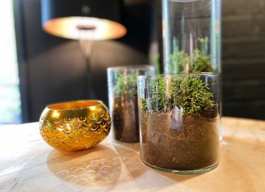 Wellness cabin in het bos - 38